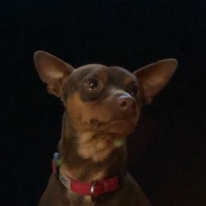 Meet your Posher, Vanessa